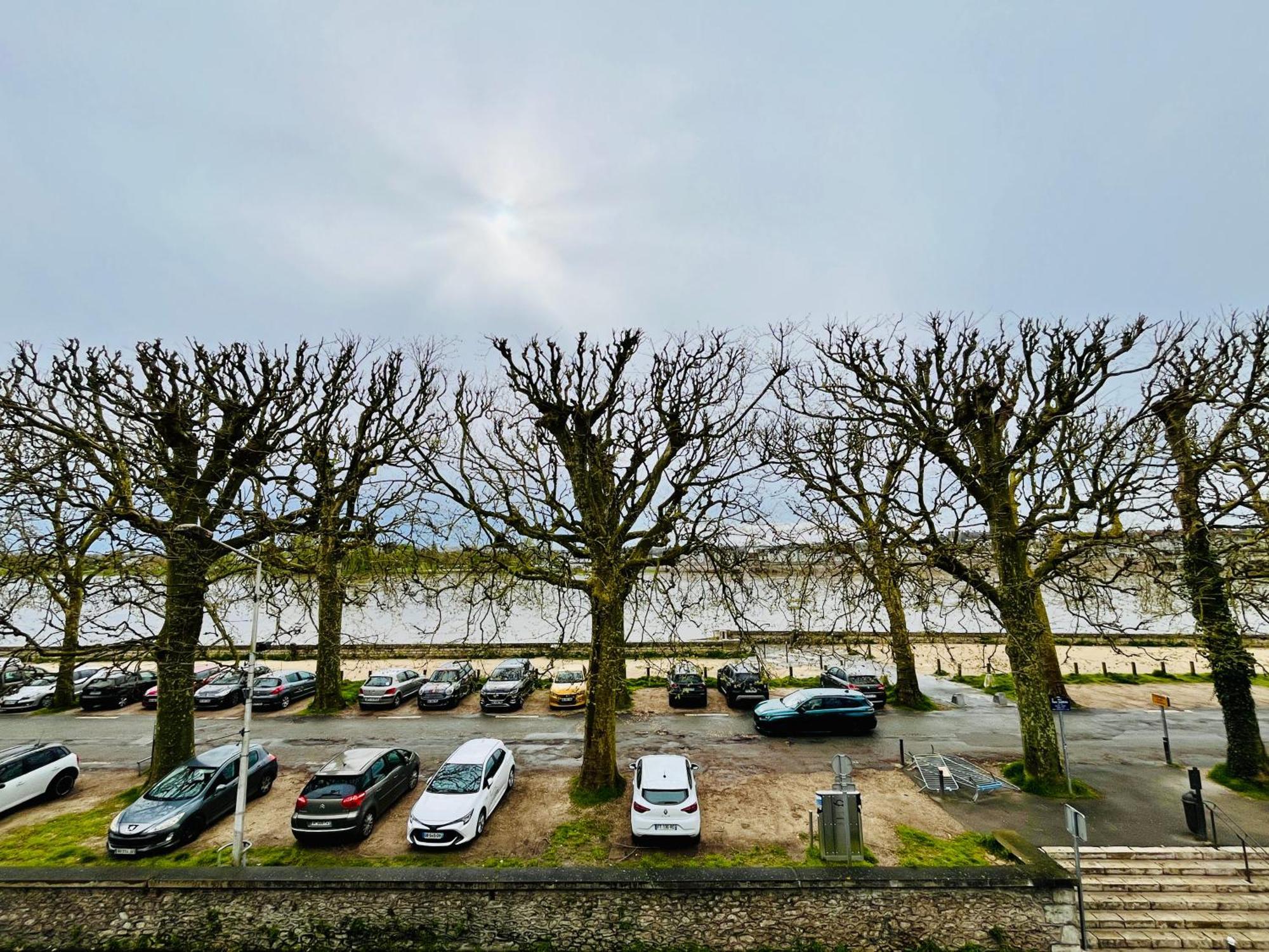 Hypercentre, Quai De Loire, Lumineux, Spacieux, Familial, Le Jehan De Saveuse Блуа Екстер'єр фото